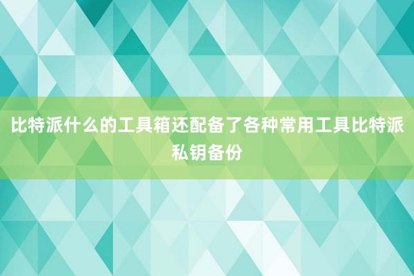 比特派什么的工具箱还配备了各种常用工具比特派私钥备份