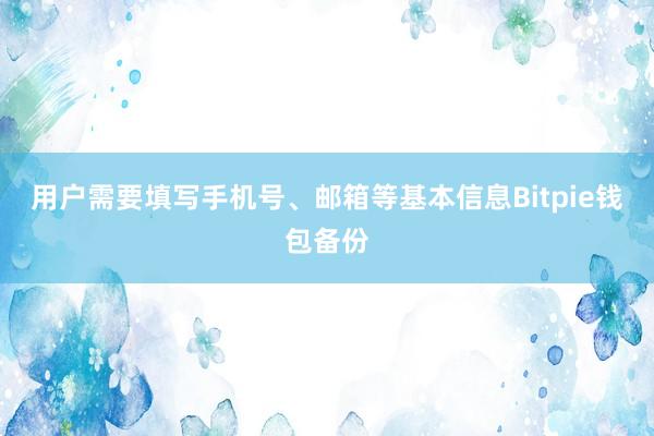 用户需要填写手机号、邮箱等基本信息Bitpie钱包备份