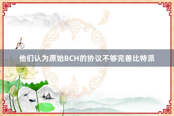 他们认为原始BCH的协议不够完善比特派