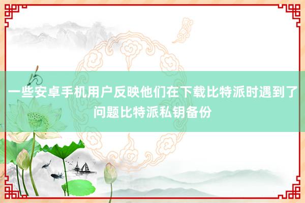 一些安卓手机用户反映他们在下载比特派时遇到了问题比特派私钥备份