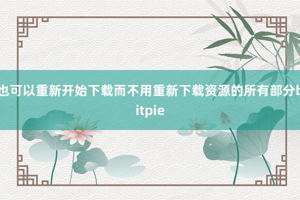 也可以重新开始下载而不用重新下载资源的所有部分bitpie