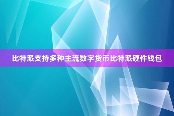 比特派支持多种主流数字货币比特派硬件钱包