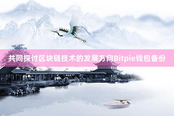 共同探讨区块链技术的发展方向Bitpie钱包备份