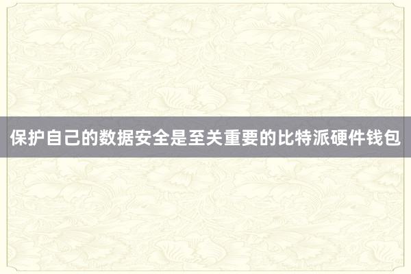 保护自己的数据安全是至关重要的比特派硬件钱包