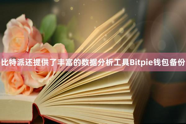 比特派还提供了丰富的数据分析工具Bitpie钱包备份