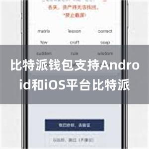 比特派钱包支持Android和iOS平台比特派