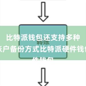 比特派钱包还支持多种账户备份方式比特派硬件钱包