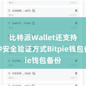 比特派Wallet还支持多种安全验证方式Bitpie钱包备份