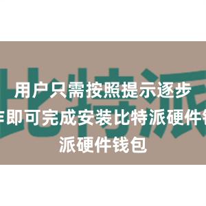 用户只需按照提示逐步操作即可完成安装比特派硬件钱包